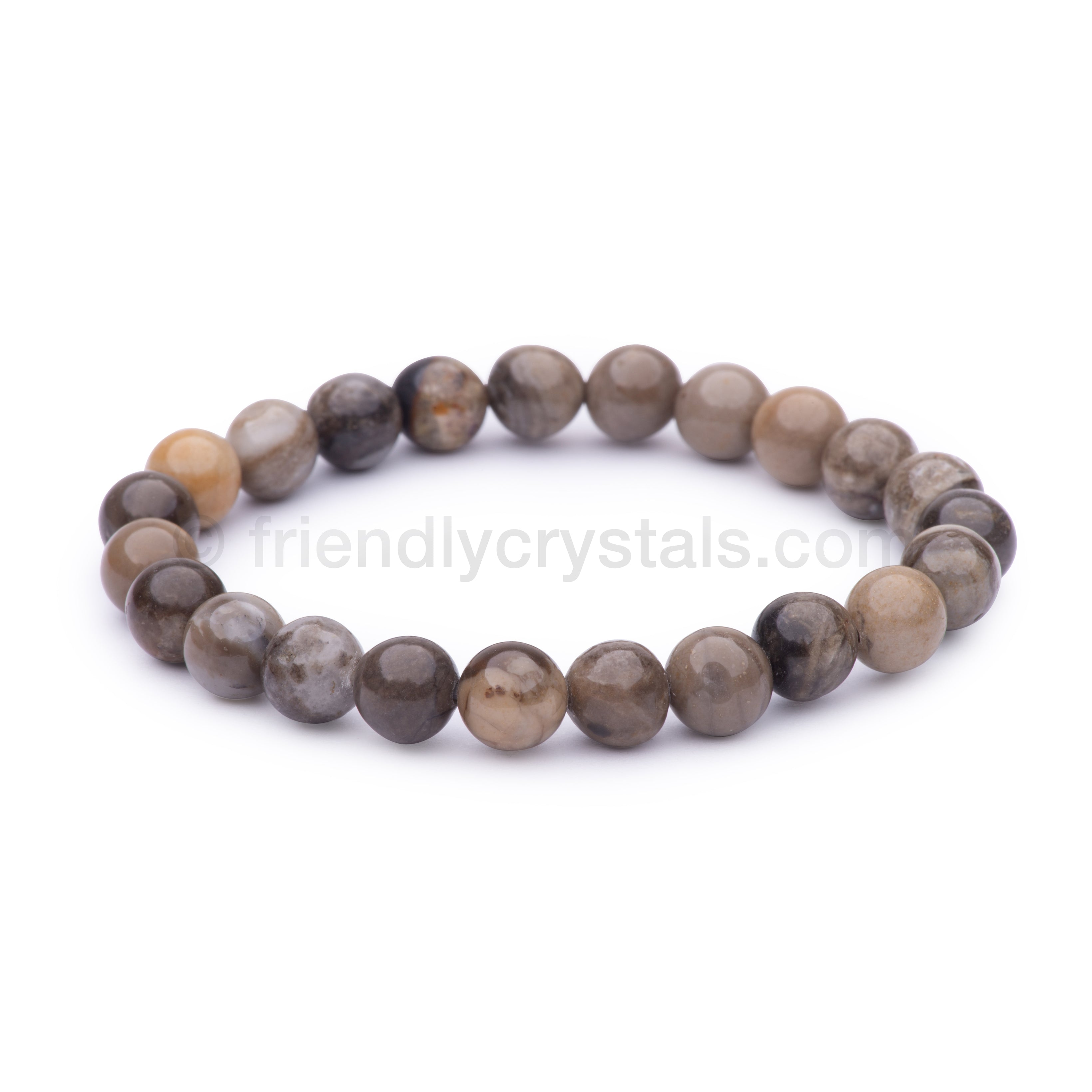 Petrified Wood Power Bracelet