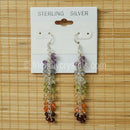 Chakra Beaded Earring
