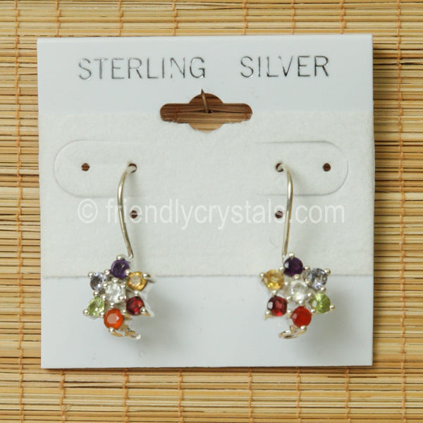 Little Flowers Chakra Earring